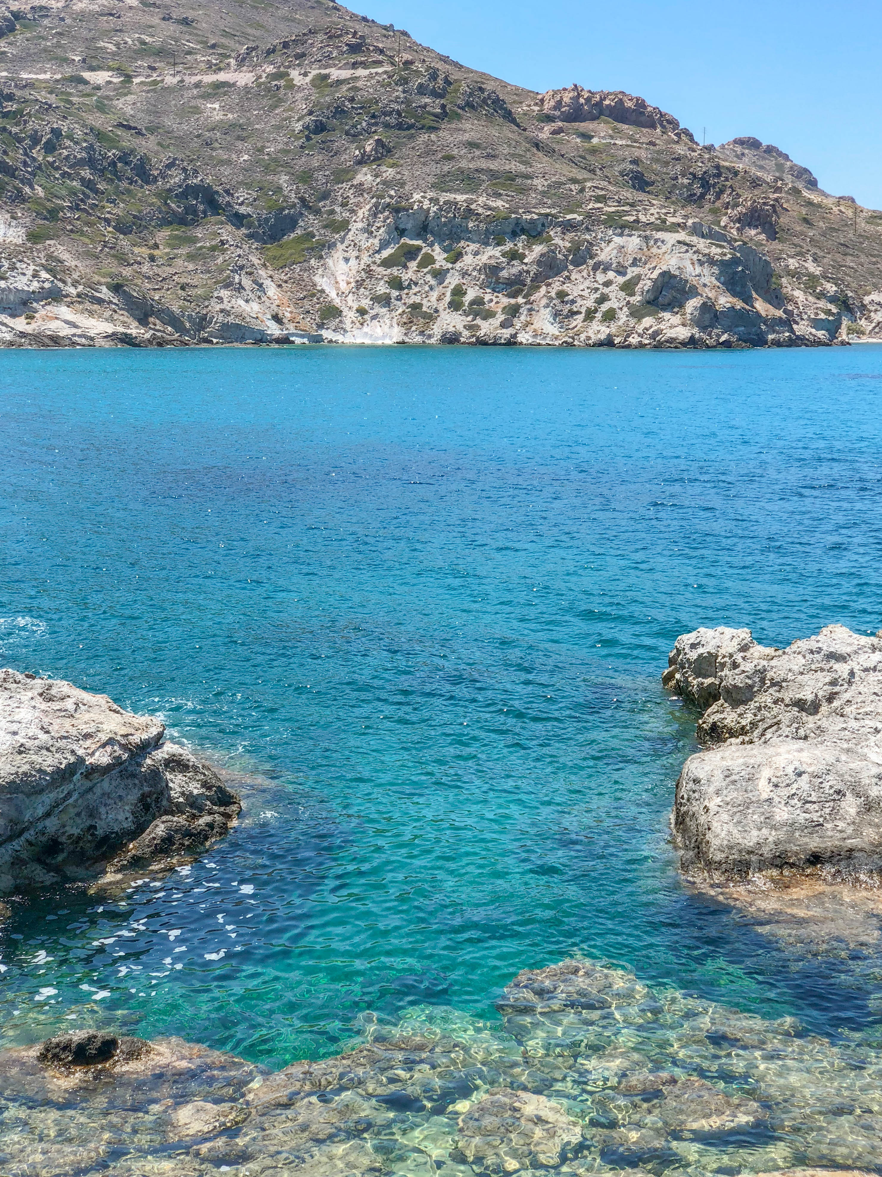 Medusa Restaurant Hanging Octopus and Sea Views at the Best Restaurant