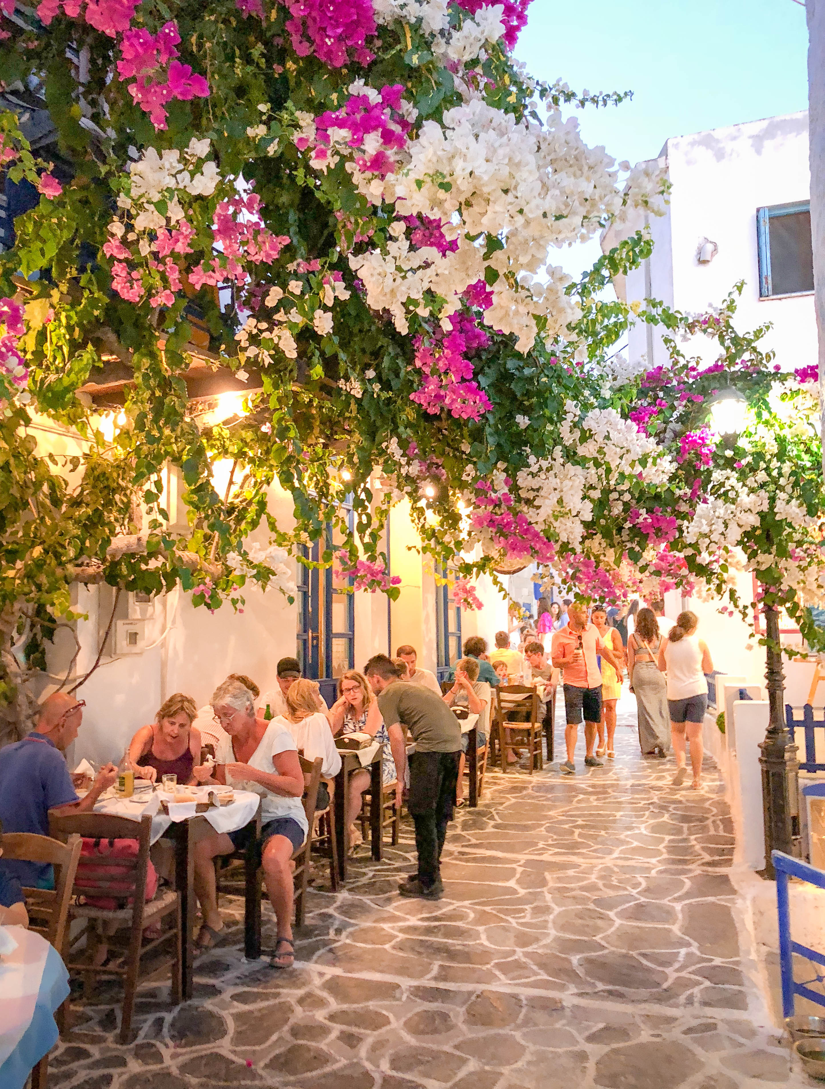 4 Best Restaurants and Tavernas in Milos, Greece Compass + Twine