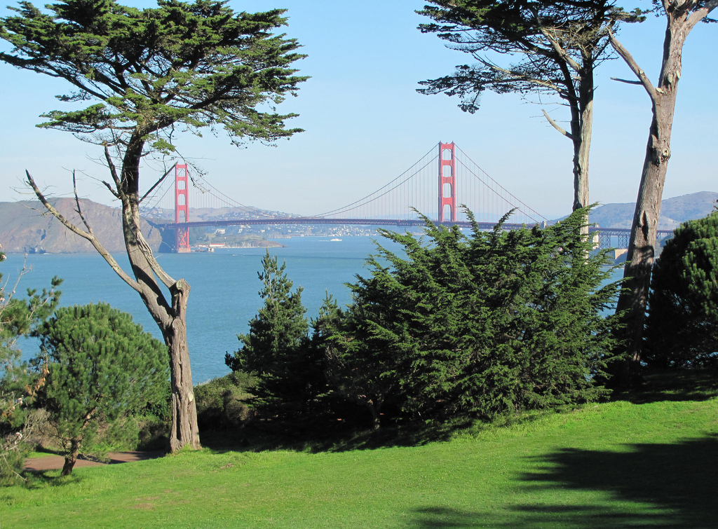 Views, Quiet, and Access to Nature in San Francisco’s Sea Cliff