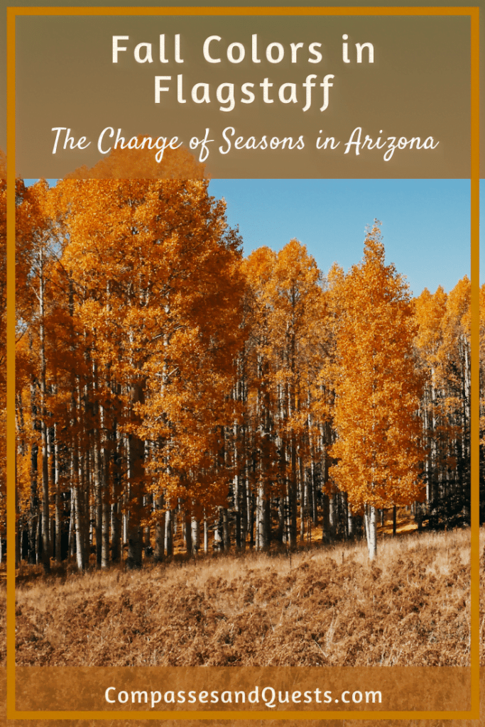 Fall Colors in Flagstaff The Change of Seasons in Arizona Compasses