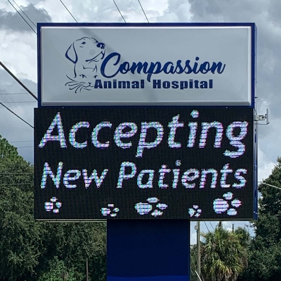 Animal Hospital in Winter Haven, FL Veterinarians in Winter Haven, FL