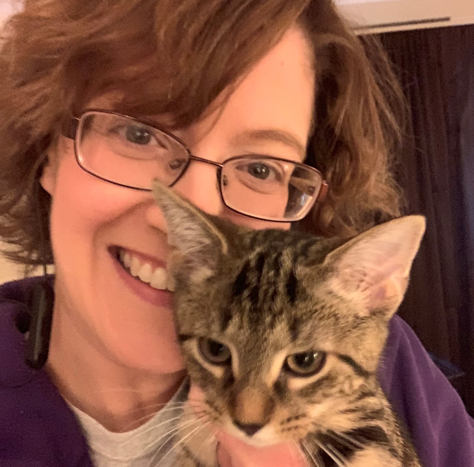 Products for Kittens and Cats Compassionate Kitten Care