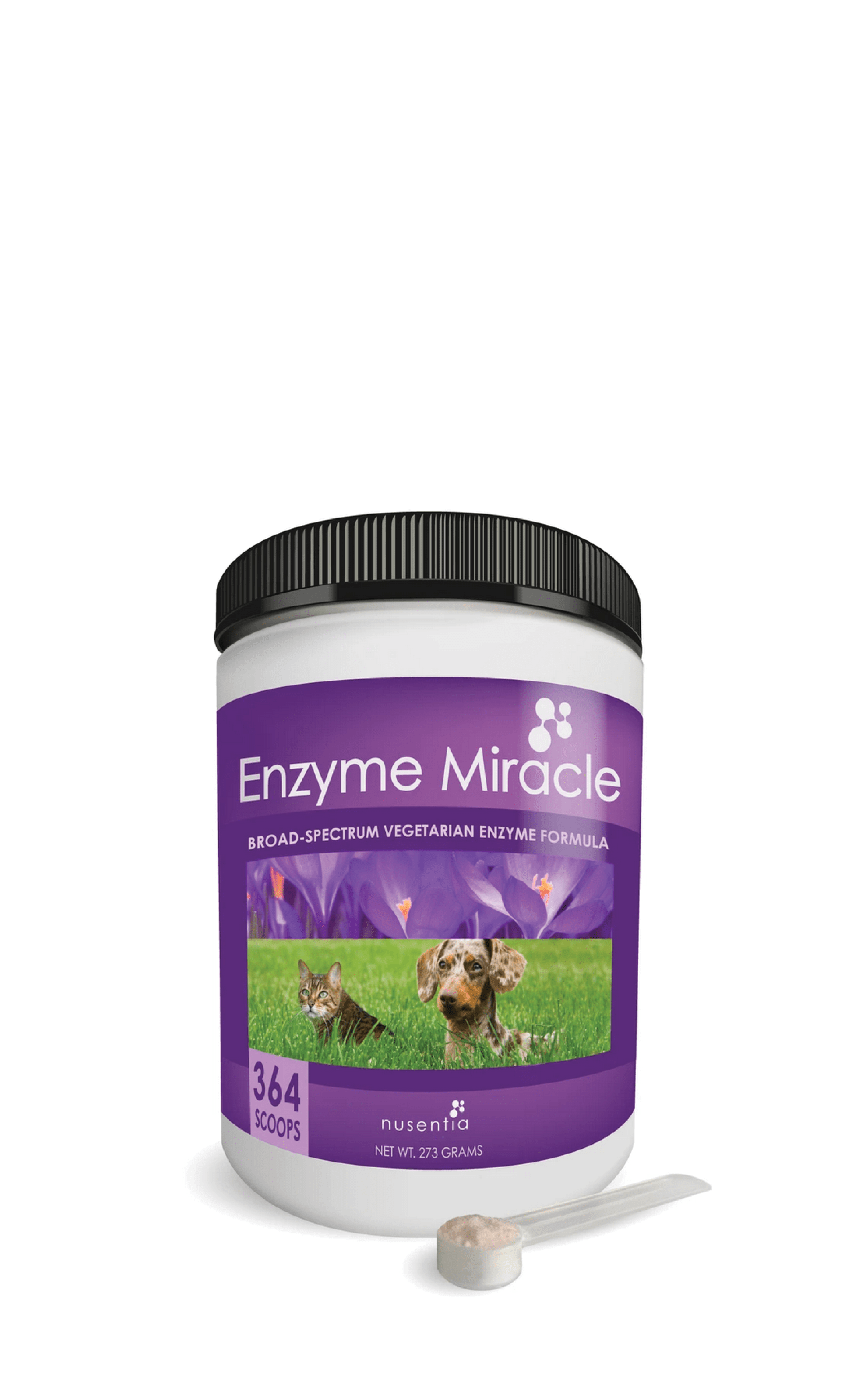 What Is The Best Digestive Enzyme For Dogs