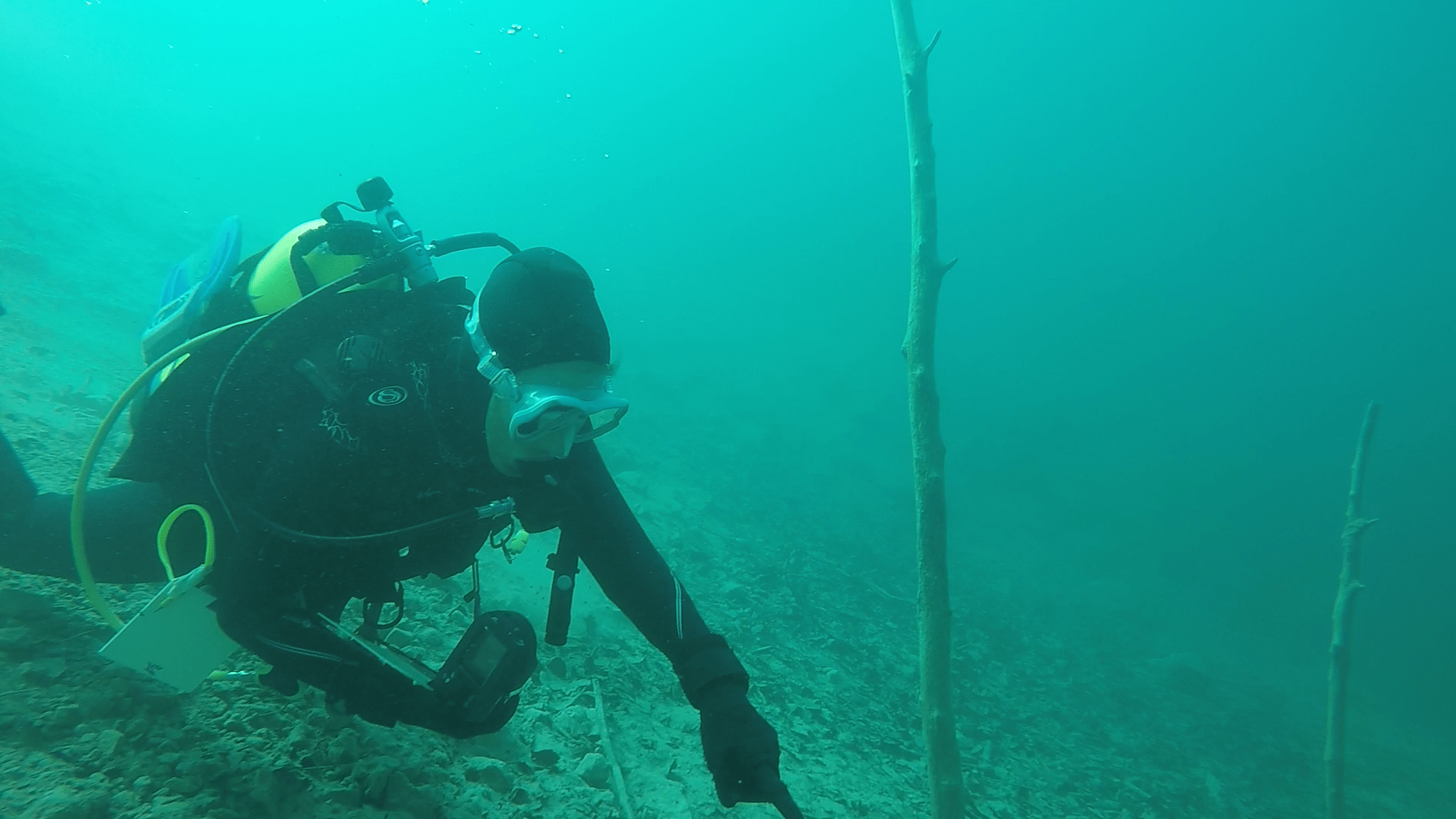 White Star Quarry Scuba Diving • CompassOhio