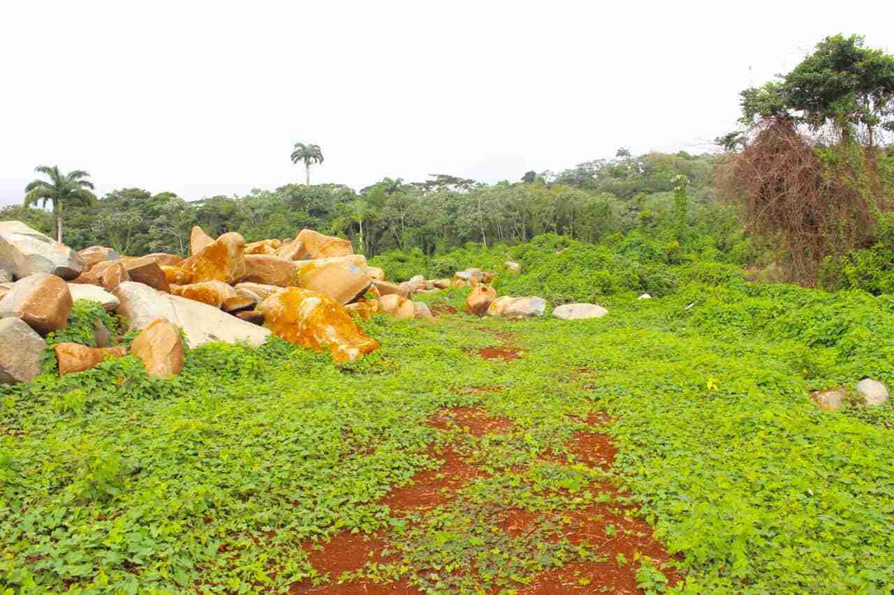 La Digue Estate, St Andrew Ref Sal49 Compass Property Management