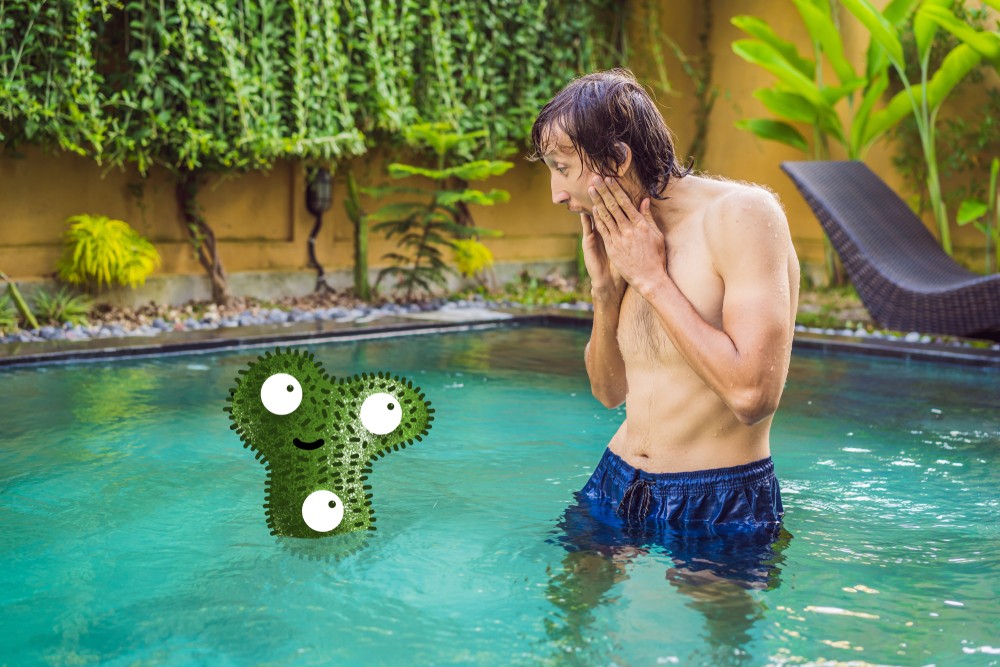 Pool chemistry is the trickiest part of pool management. How To Remove Pool Algae Forever Compass Pools Melbourne