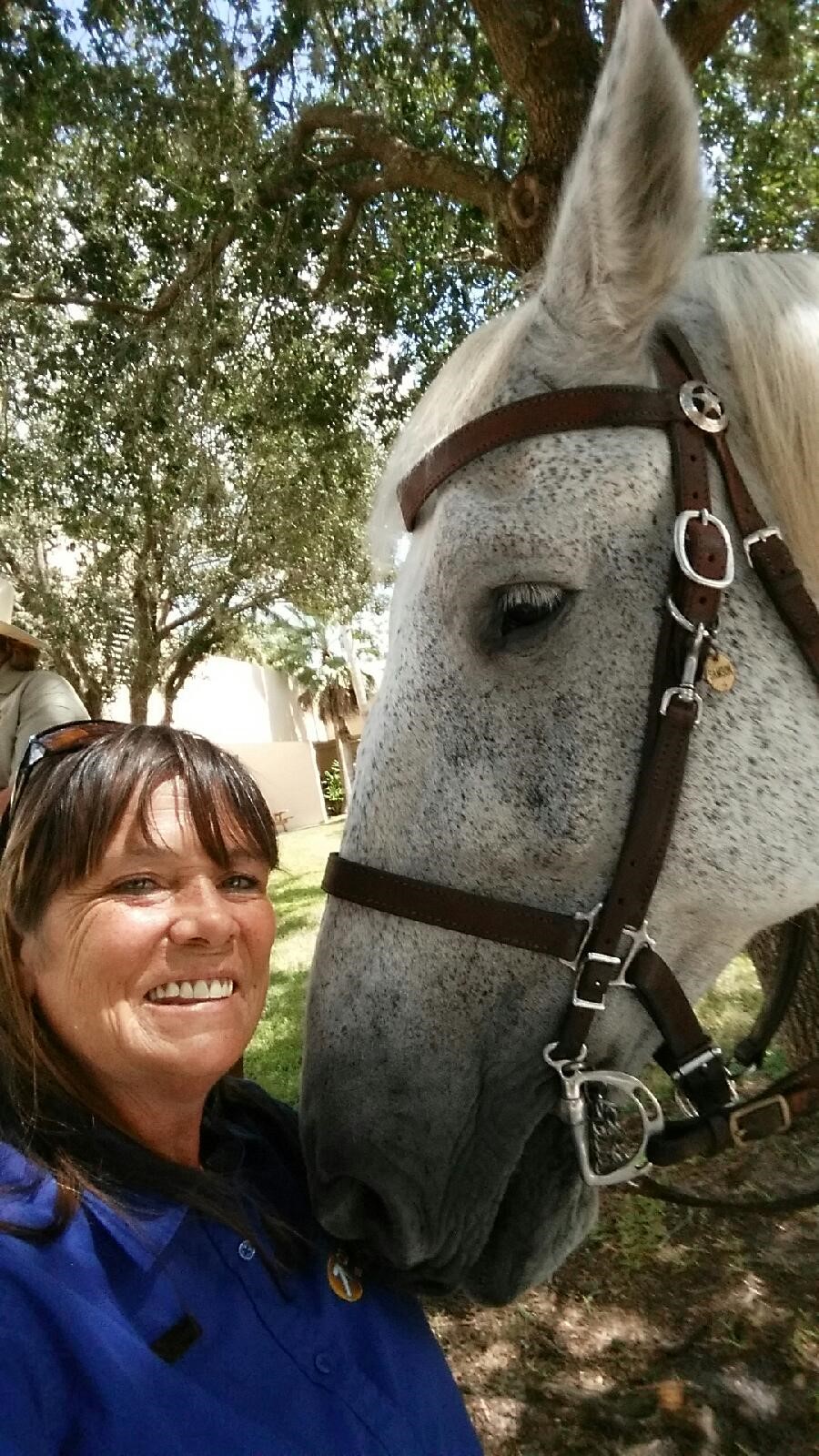 Bartlett Car Show and Festival Compass Self Storage