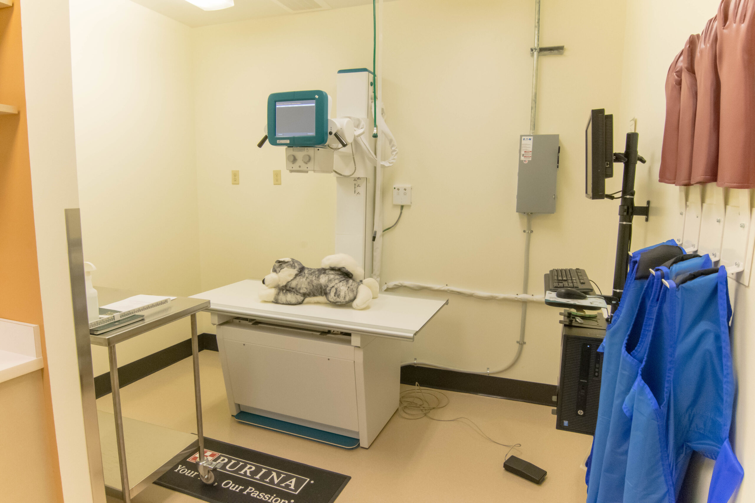 Compass Veterinary Clinic Tour Vet Clinic in Lake Oswego, OR