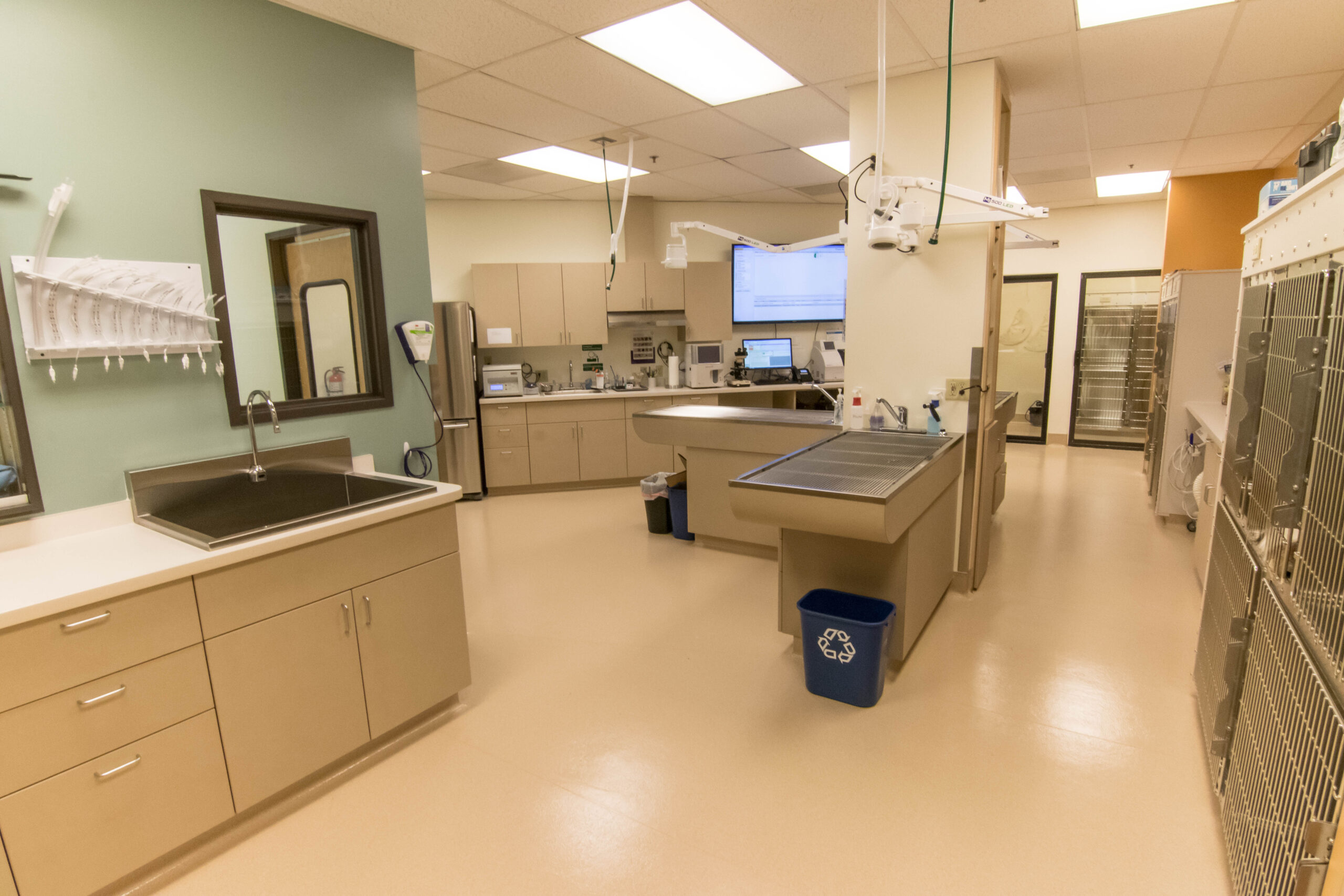 Compass Veterinary Clinic Tour Vet Clinic in Lake Oswego, OR