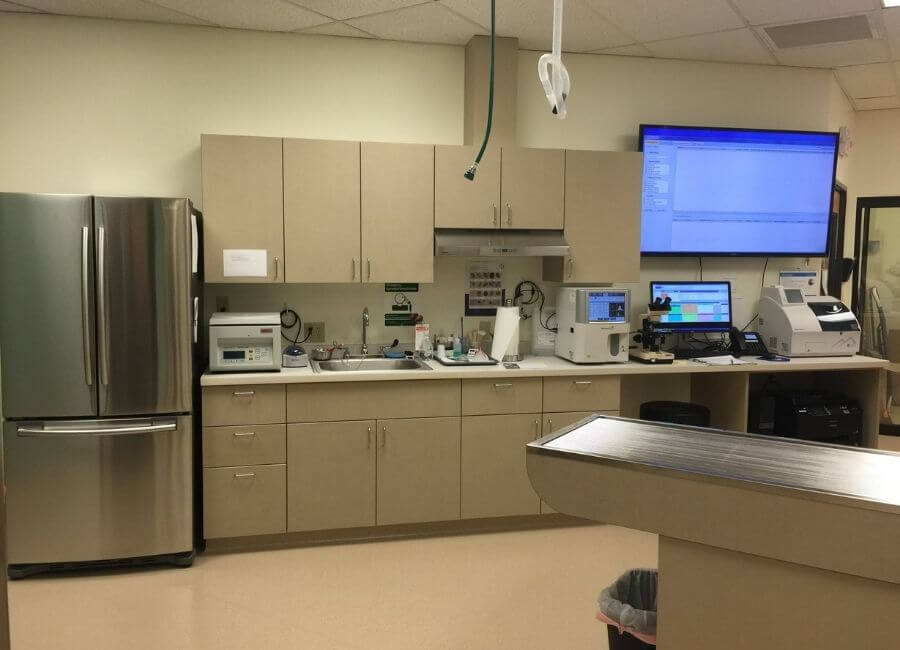 Lake Oswego, OR Veterinary Services CVC