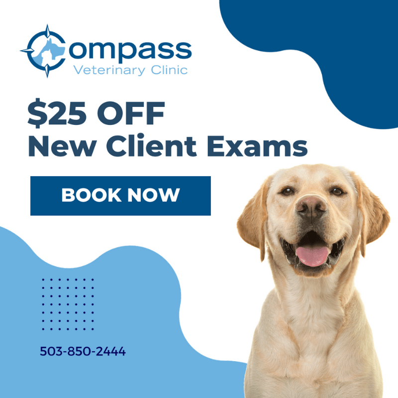 Best Veterinary Hospital in Lake Oswego, OR Compass Veterinary Clinic