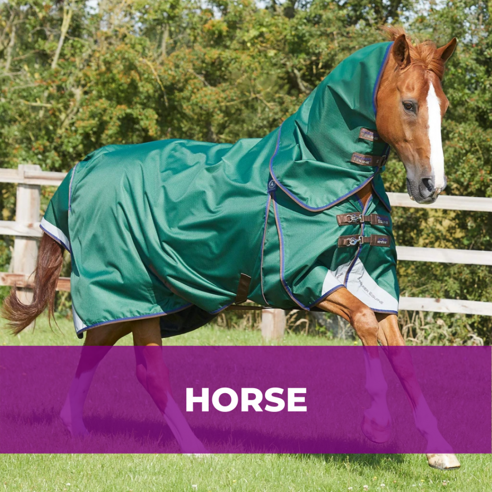 Complete Equestrian Horse riding clothing and equine tack shop