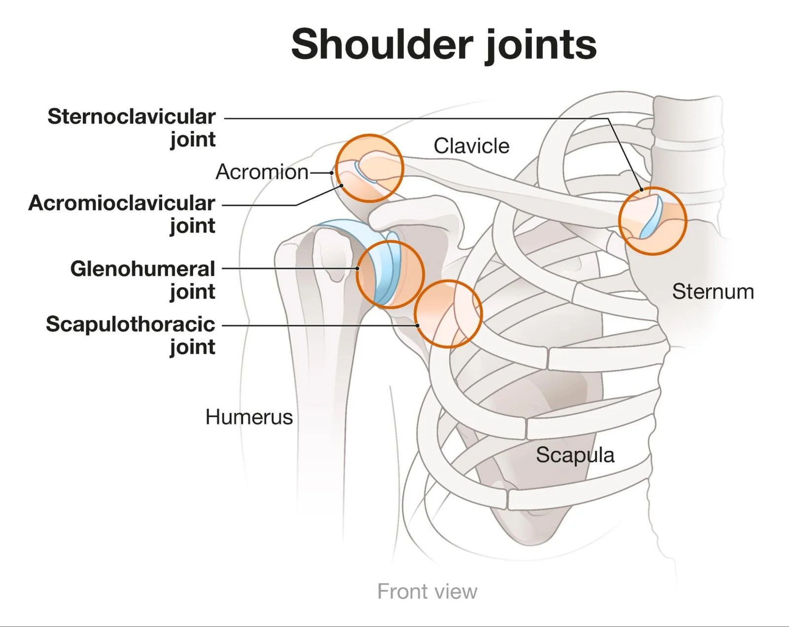 Shoulder Pain when you serve Diagnose and treat a shoulder injury