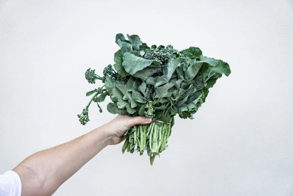 Keep Your Colon Healthy With Kale Complete Care