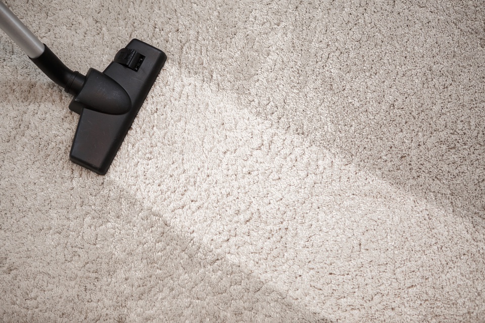 Complete Carpet Cleaning Carpet and Rug Cleaning Benson