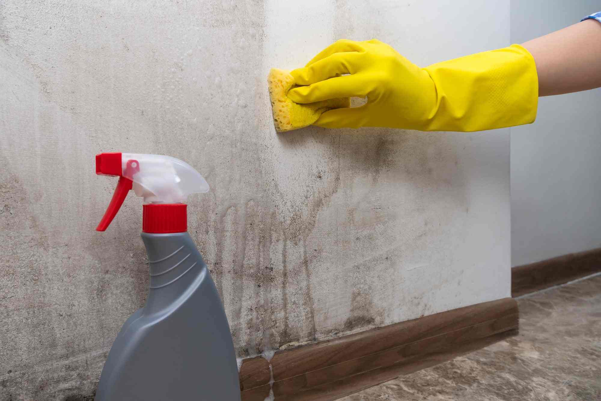 The Hidden Benefits of Deep Cleaning Your Home