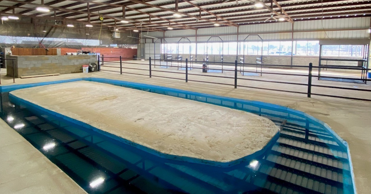 Rehabilitation and Therapy Center Complete Equine Performance