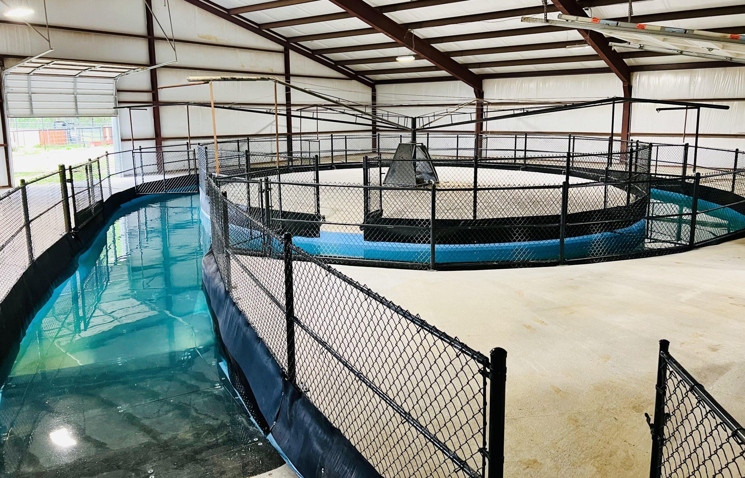 Rehabilitation and Therapy Center Complete Equine Performance