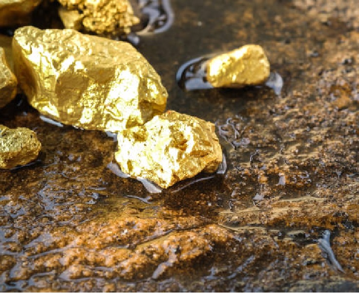 Simplified Gold Mining Business Plan CompleteFMC