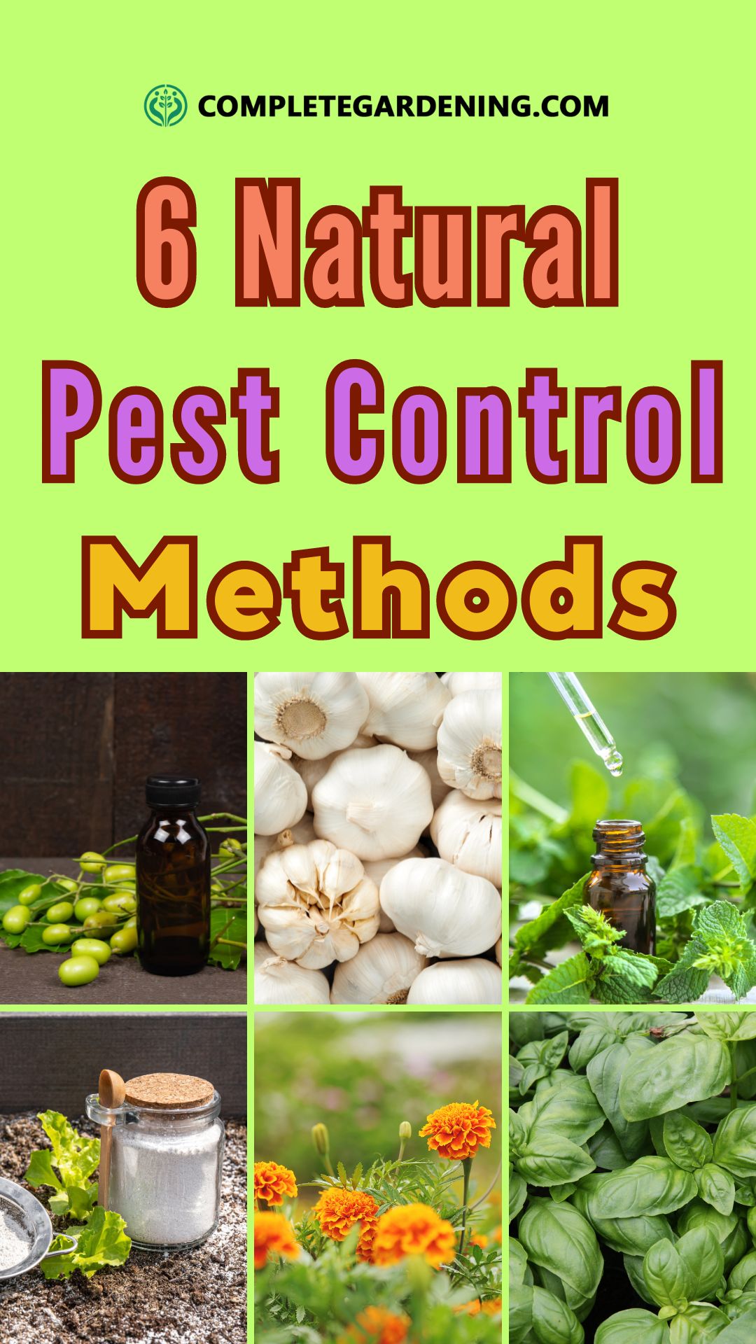 6 Natural Pest Control Methods That Actually Work (Without Harming Your
