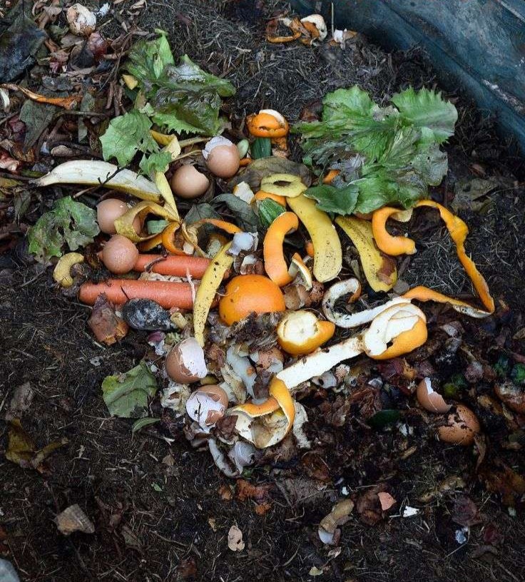 Improper Composting