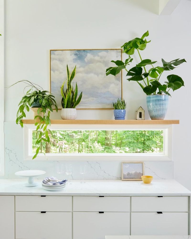 Layering Different Plant Heights