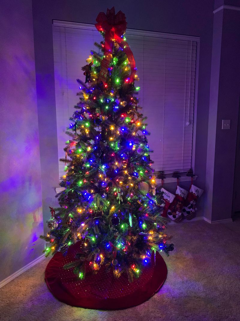 Multicolored LED Lights