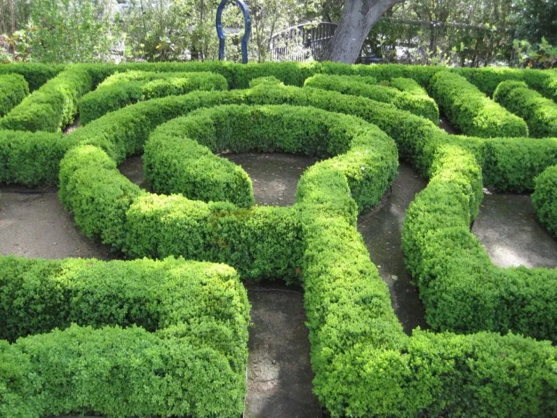 Botanical Labyrinths