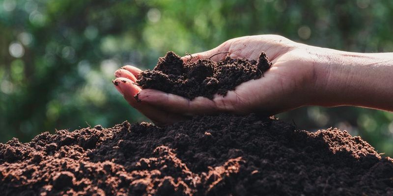 Enhancing Plant Health