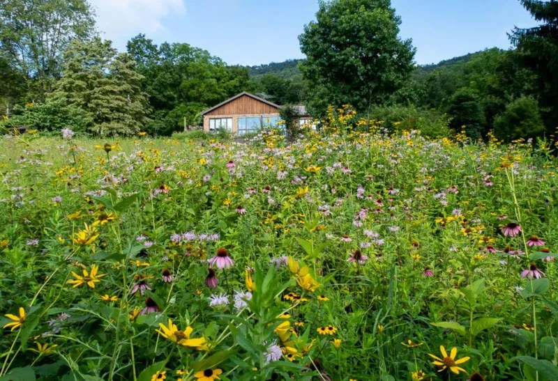 Low Maintenance and Resource Efficient