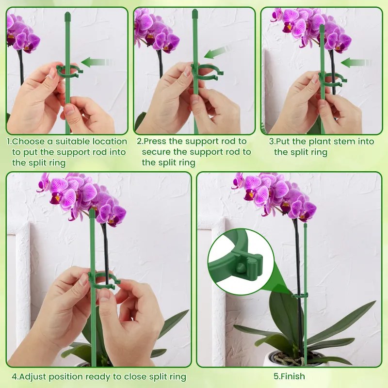 Support with a Stake