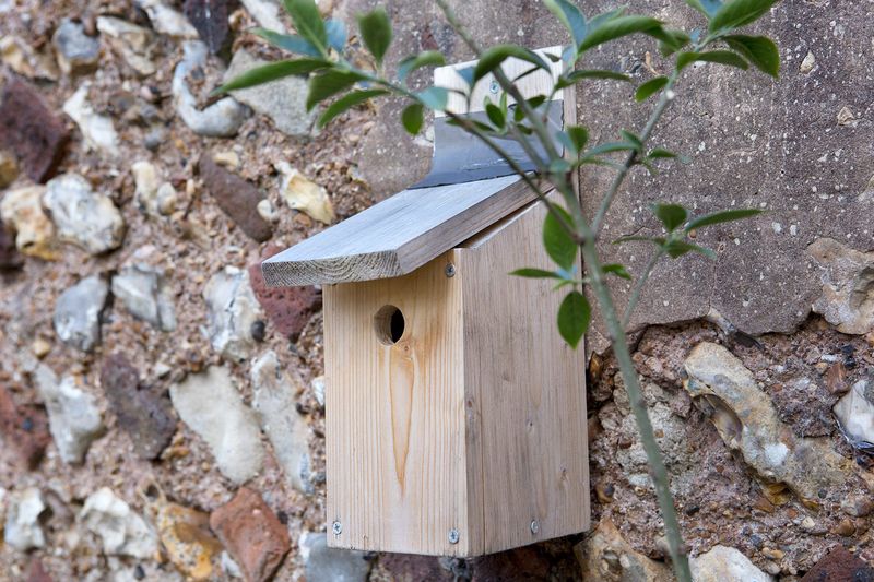 Clean Nesting Boxes