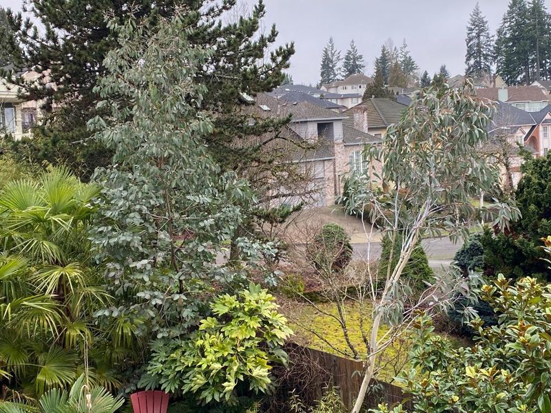 Ignoring Soil Acidity