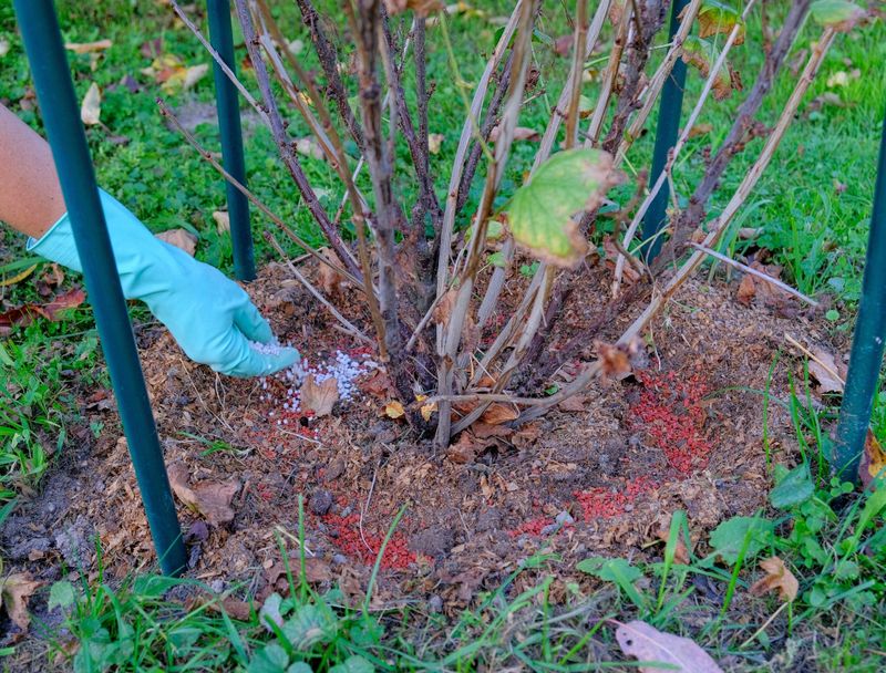 Improves Soil Structure