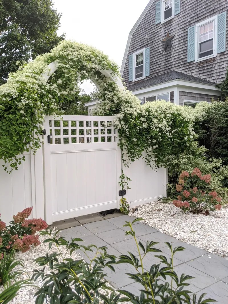 Arbor with Climbing Plants