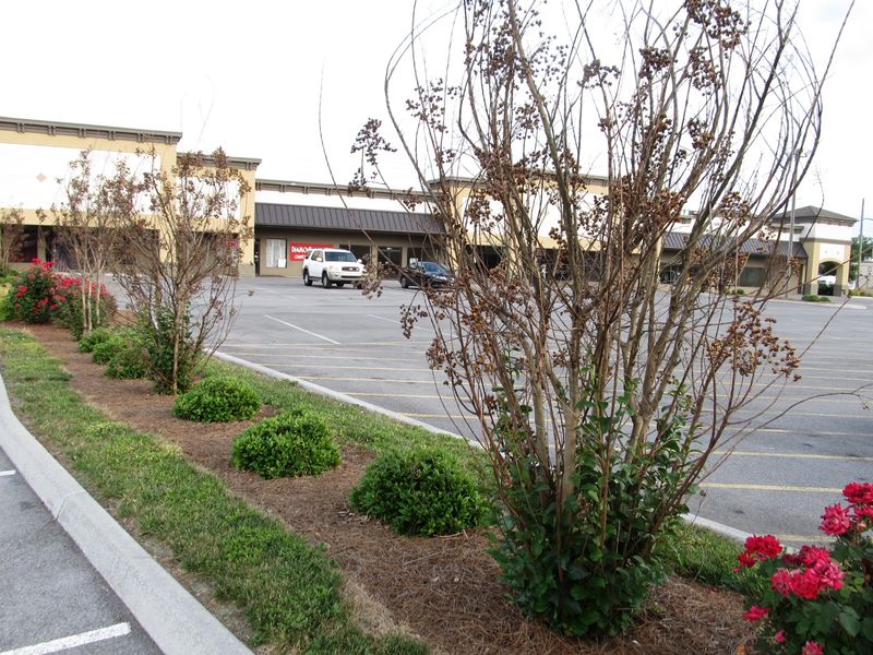 No Protection in Cold Weather