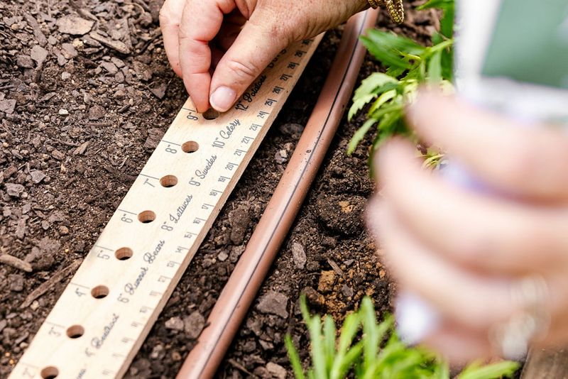 Seed Sowing Techniques