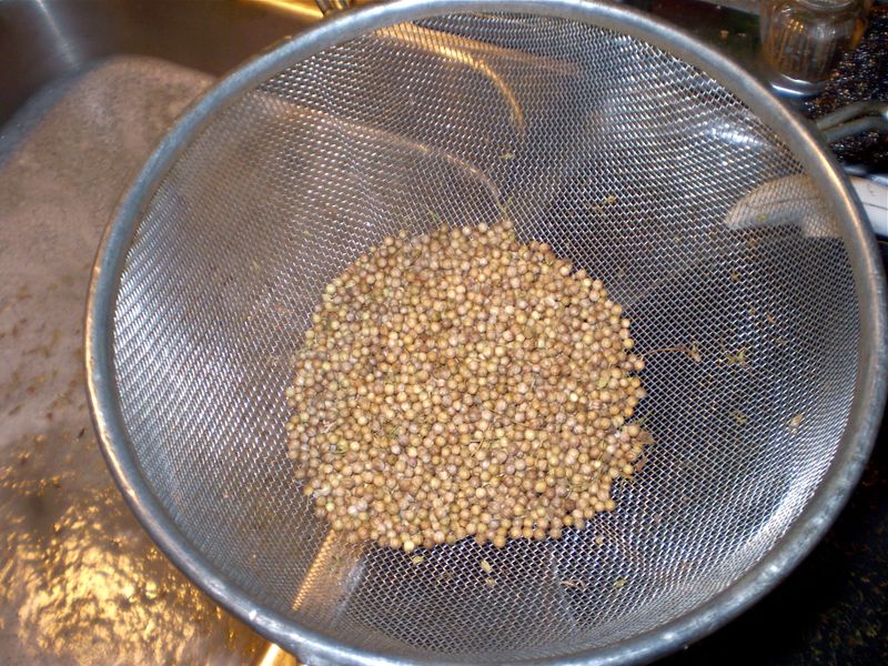 Mastering Seed Cleaning