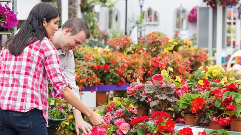 Buying Without a Plan