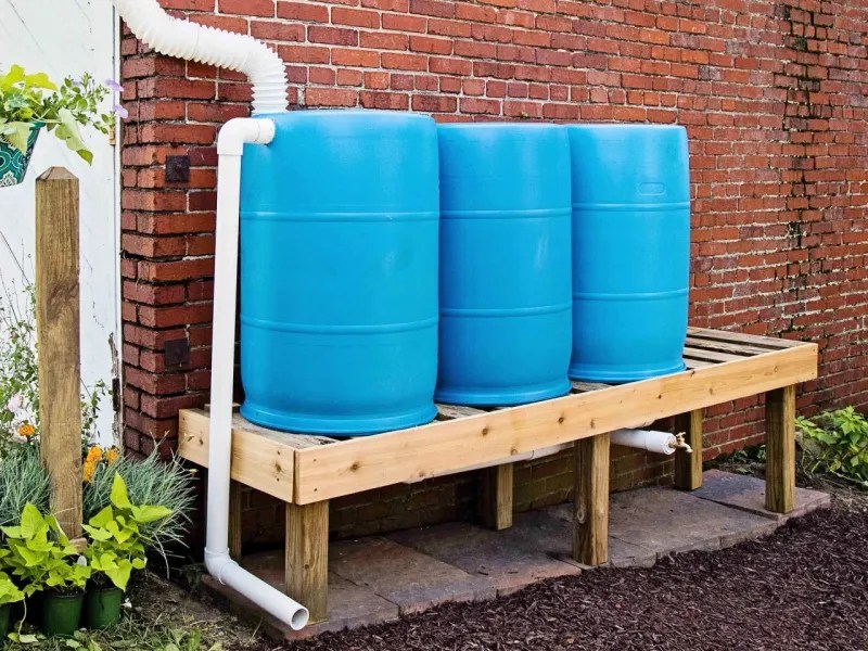 Create a Rainwater Harvesting System