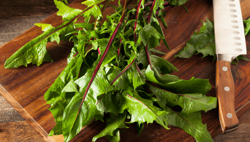 Dandelion Greens