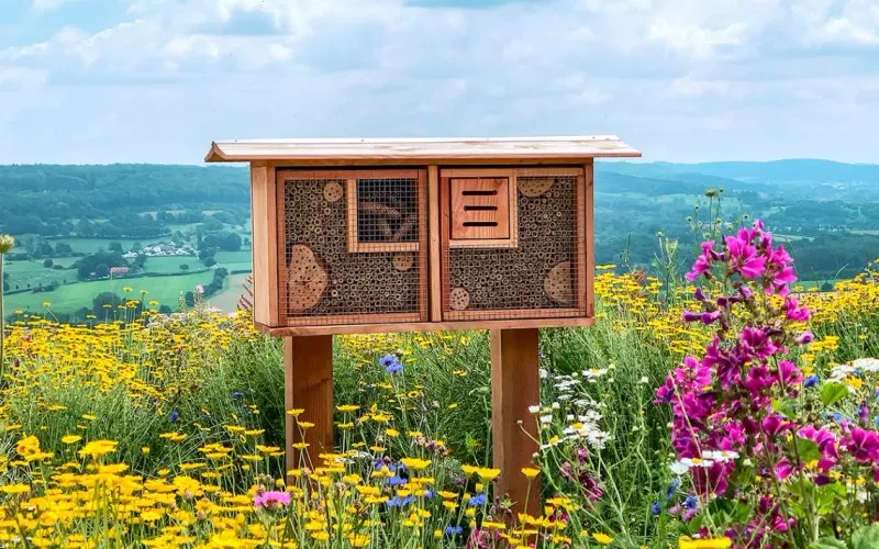 Insect Hotels