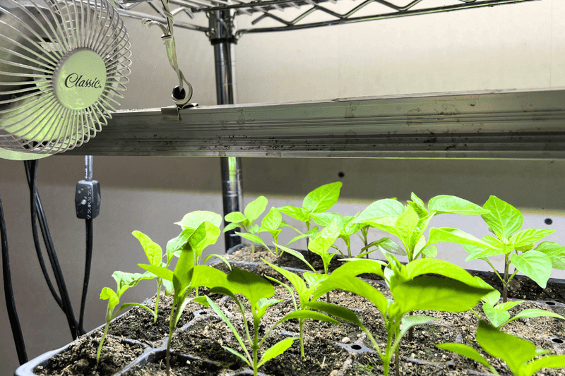 Poor Air Circulation