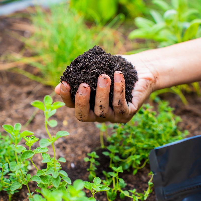 Organic Certification