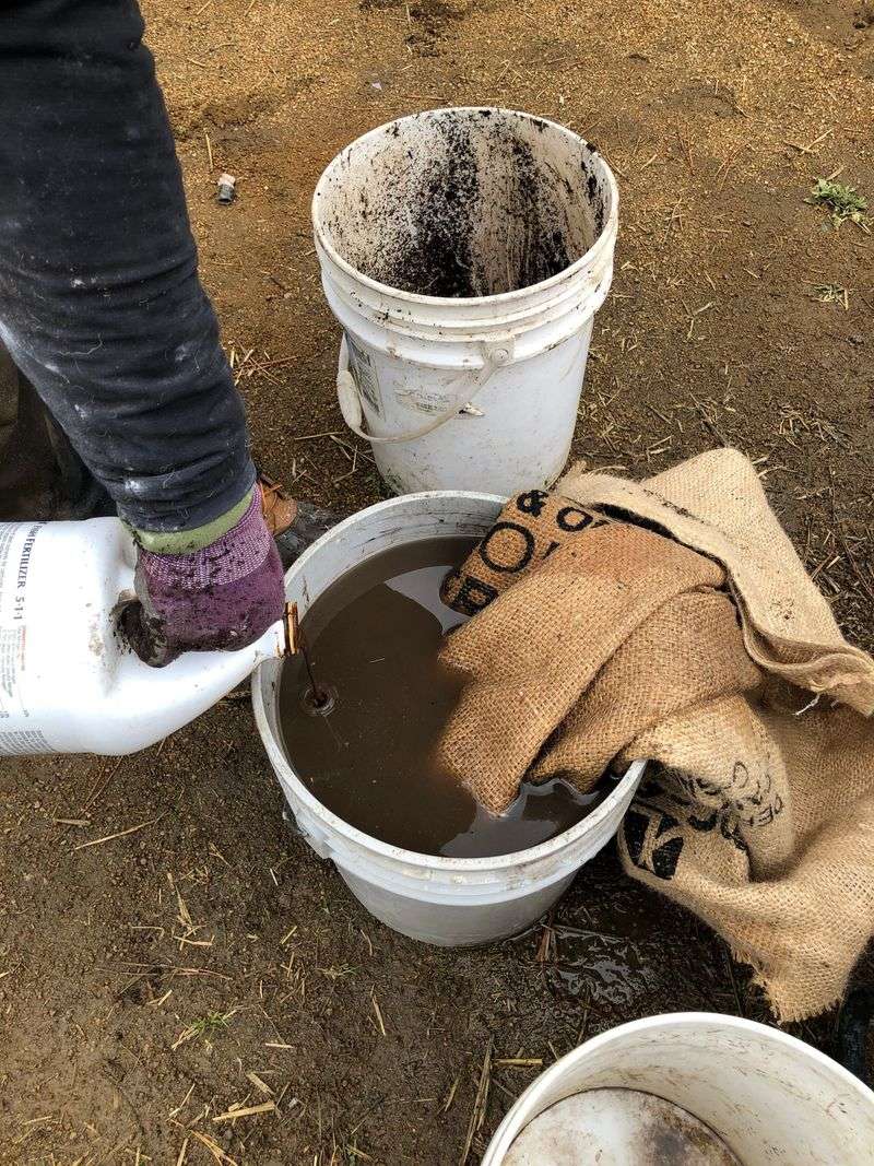 Urban Compost Tea Gardens