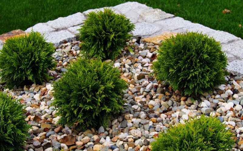 Landscaping Company Kansas City, MO Complete Hardscapes LLC