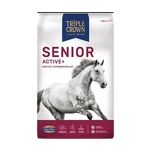 5 Best Senior Horse Feeds For Optimal Equine Health