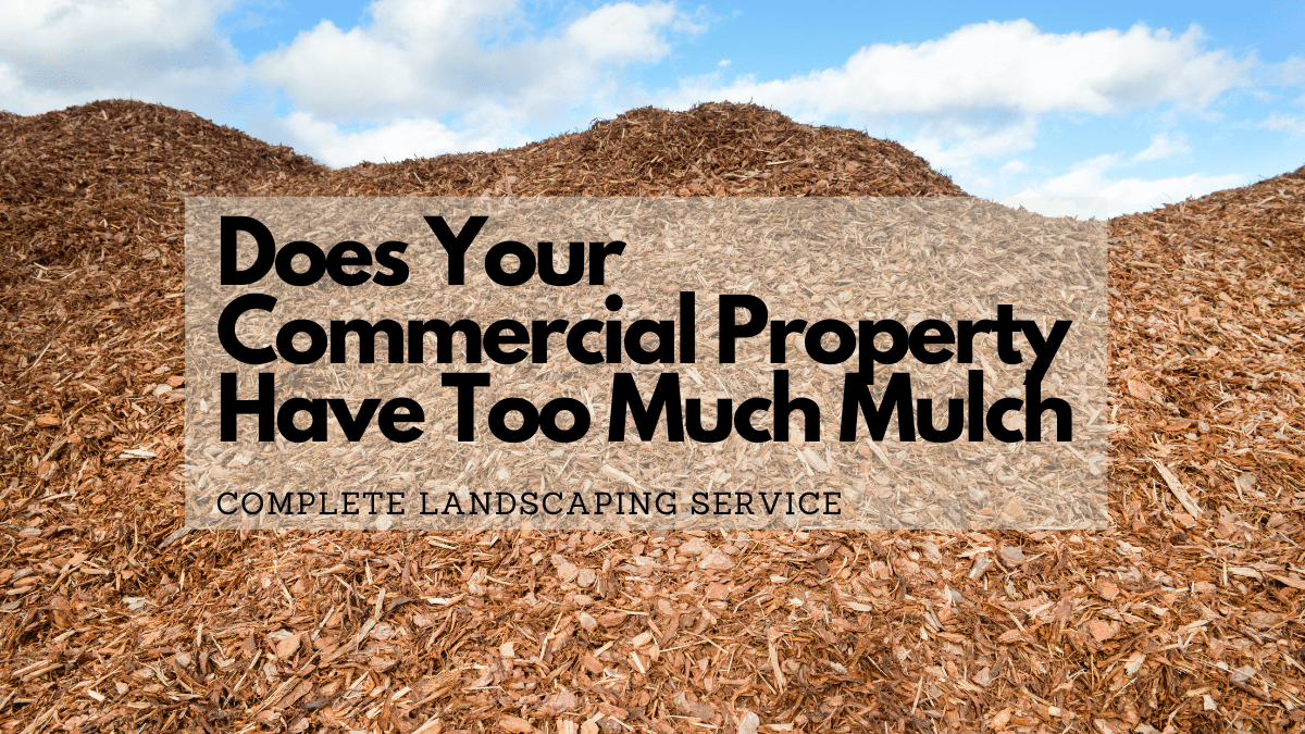 Mulch Overload Assessing Your Commercial Property