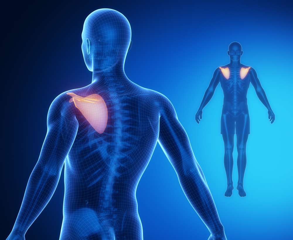 Injury blog Winging of the shoulder blades Completely Aligned