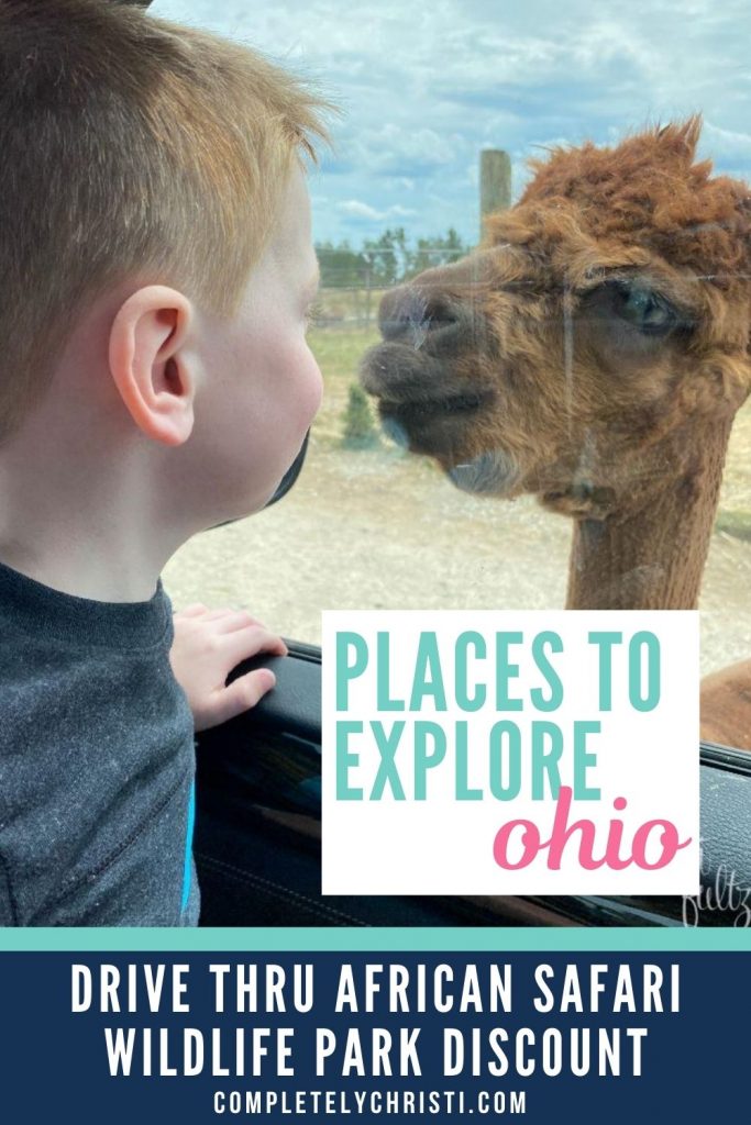 Port Clinton African Safari Wildlife Park Review + Discount